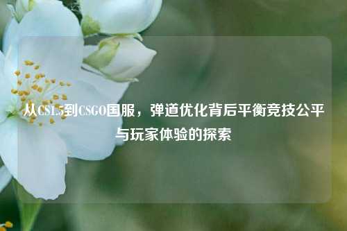 从CS1.5到CSGO国服,弹道优化背后平衡竞技公平与玩家体验的探索