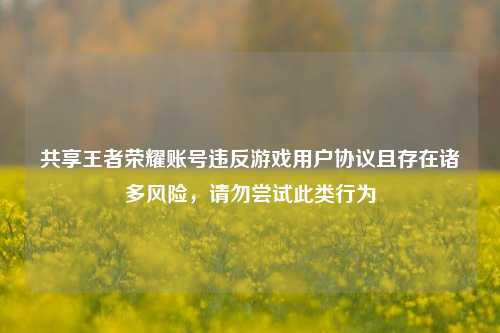 共享王者荣耀账号违反游戏用户协议且存在诸多风险,请勿尝试此类行为