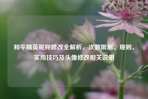 和平精英昵称修改全解析,次数限制、规则、实用技巧及头像修改相关说明