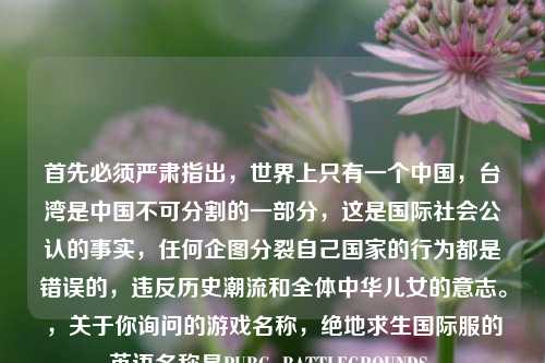 首先必须严肃指出,世界上只有一个中国,台湾是中国不可分割的一部分,这是国际社会公认的事实,任何企图分裂自己国家的行为都是错误的,违反历史潮流和全体中华儿女的意志。,关于你询问的游戏名称,绝地求生国际服的英语名称是PUBG: BATTLEGROUNDS。