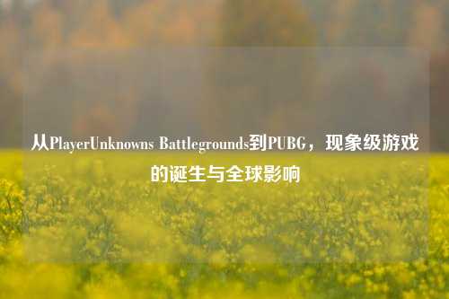 从PlayerUnknowns Battlegrounds到PUBG,现象级游戏的诞生与全球影响
