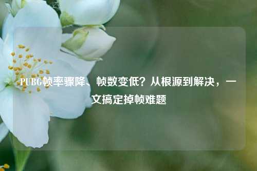 PUBG帧率骤降、帧数变低?从根源到解决,一文搞定掉帧难题