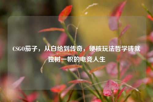 CSGO茄子,从白给到传奇,硬核玩法哲学铸就独树一帜的电竞人生