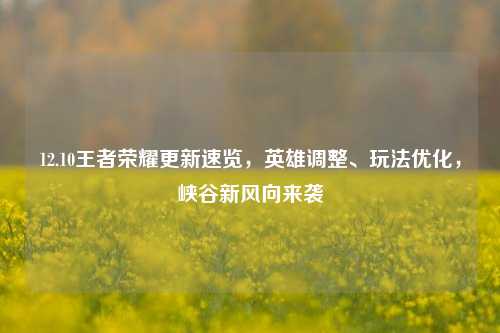 12.10王者荣耀更新速览,英雄调整、玩法优化,峡谷新风向来袭