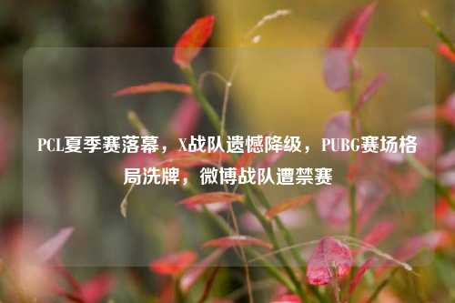 PCL夏季赛落幕,X战队遗憾降级,PUBG赛场格局洗牌,微博战队遭禁赛