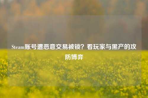 Steam账号遭恶意交易被锁?看玩家与黑产的攻防博弈