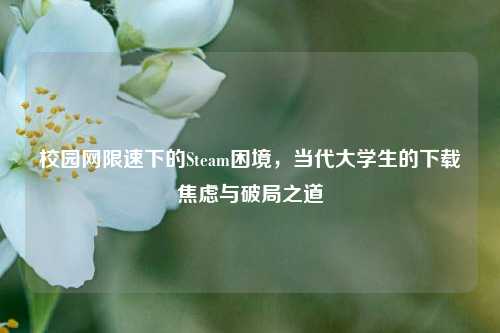 校园网限速下的Steam困境,当代大学生的下载焦虑与破局之道