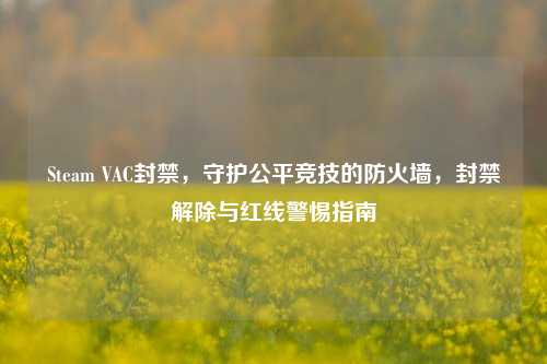 Steam VAC封禁,守护公平竞技的防火墙,封禁解除与红线警惕指南