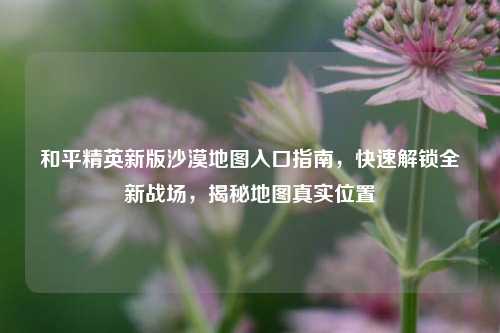 和平精英新版沙漠地图入口指南,快速解锁全新战场,揭秘地图真实位置