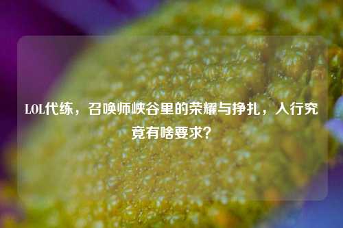 LOL代练,召唤师峡谷里的荣耀与挣扎,入行究竟有啥要求?