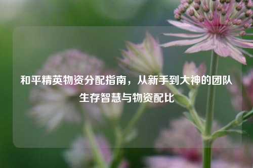 和平精英物资分配指南,从新手到大神的团队生存智慧与物资配比