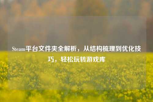 Steam平台文件夹全解析,从结构梳理到优化技巧,轻松玩转游戏库