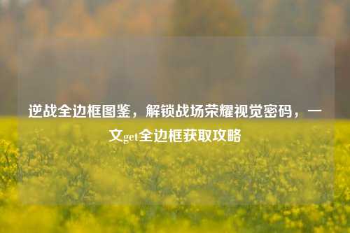 逆战全边框图鉴,解锁战场荣耀视觉密码,一文get全边框获取攻略