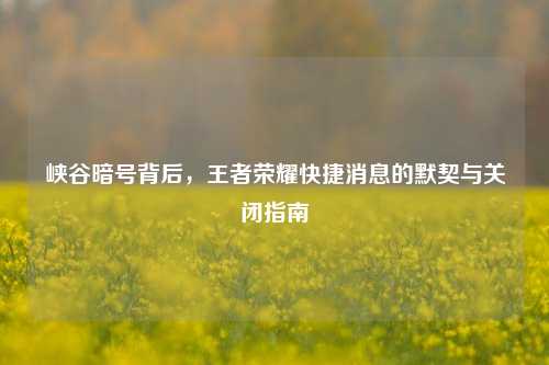 峡谷暗号背后,王者荣耀快捷消息的默契与关闭指南