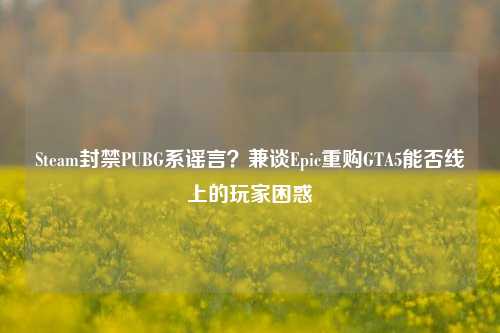 Steam封禁PUBG系谣言?兼谈Epic重购GTA5能否线上的玩家困惑
