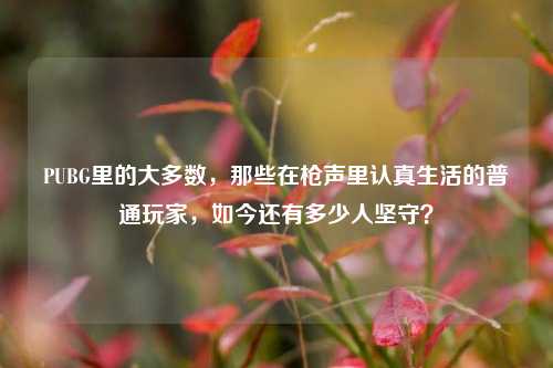 PUBG里的大多数,那些在枪声里认真生活的普通玩家,如今还有多少人坚守?