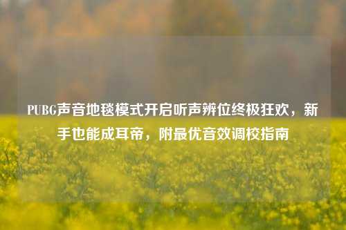 PUBG声音地毯模式开启听声辨位终极狂欢,新手也能成耳帝,附更优音效调校指南