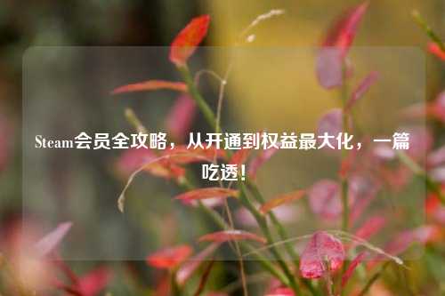 Steam会员全攻略,从开通到权益更大化,一篇吃透!