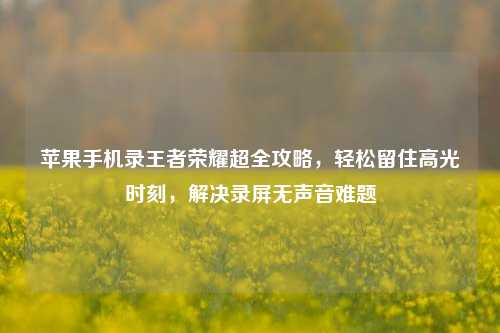 苹果手机录王者荣耀超全攻略,轻松留住高光时刻,解决录屏无声音难题