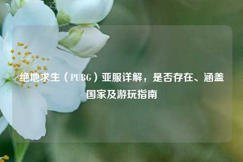 绝地求生(PUBG)亚服详解,是否存在、涵盖国家及游玩指南