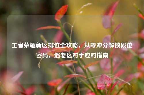 王者荣耀新区排位全攻略,从零冲分解锁段位密码,遇老区对手应对指南