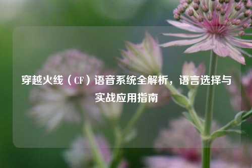 穿越火线(CF)语音系统全解析,语言选择与实战应用指南