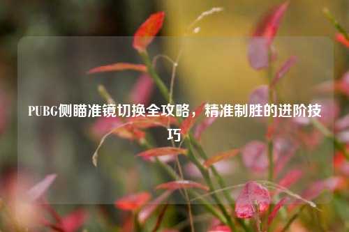 PUBG侧瞄准镜切换全攻略,精准制胜的进阶技巧