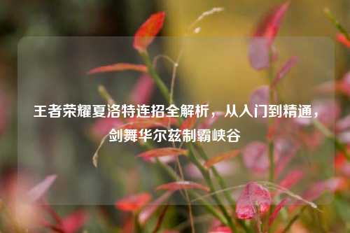 王者荣耀夏洛特连招全解析,从入门到精通,剑舞华尔兹制霸峡谷