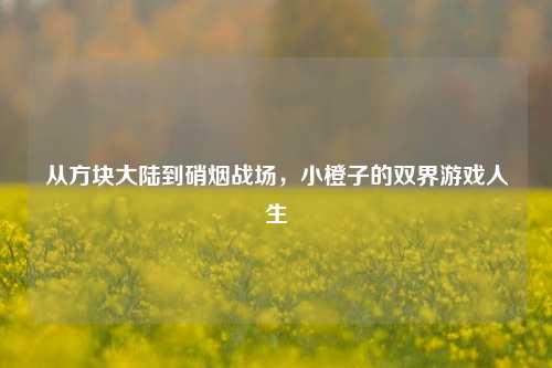 从方块大陆到硝烟战场,小橙子的双界游戏人生