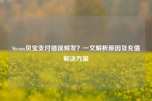Steam贝宝支付错误频发?一文解析原因及充值解决方案