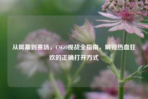 从屏幕到赛场,CSGO观战全指南,解锁热血狂欢的正确打开方式