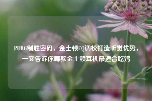 PUBG制胜密码,金士顿EQ调校打造听觉优势,一文告诉你哪款金士顿耳机最适合吃鸡