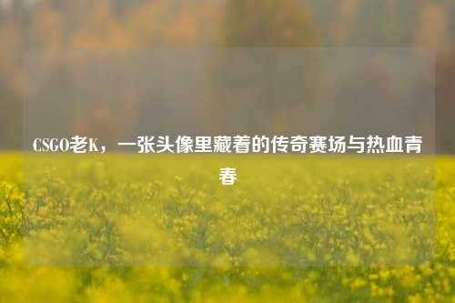 CSGO老K,一张头像里藏着的传奇赛场与热血青春