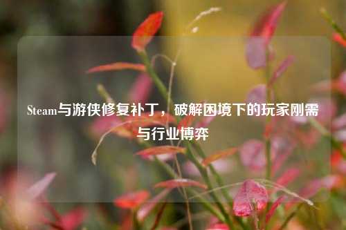 Steam与游侠修复补丁,破解困境下的玩家刚需与行业博弈