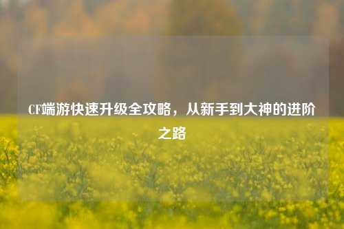 CF端游快速升级全攻略,从新手到大神的进阶之路