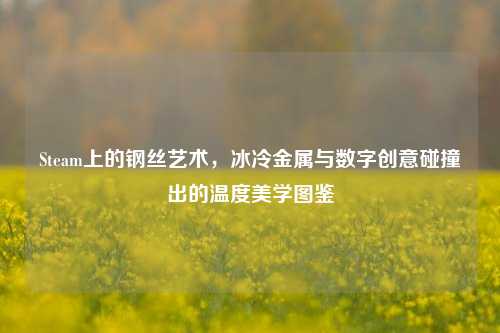 Steam上的钢丝艺术,冰冷金属与数字创意碰撞出的温度美学图鉴