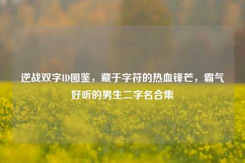 逆战双字ID图鉴,藏于字符的热血锋芒,霸气好听的男生二字名合集