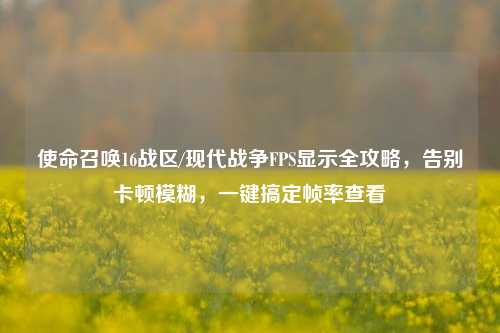使命召唤16战区/现代战争FPS显示全攻略,告别卡顿模糊,一键搞定帧率查看