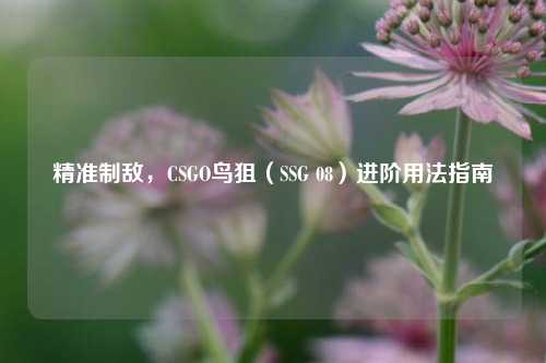 精准制敌,CSGO鸟狙(SSG 08)进阶用法指南