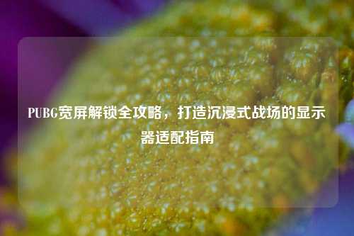PUBG宽屏解锁全攻略,打造沉浸式战场的显示器适配指南