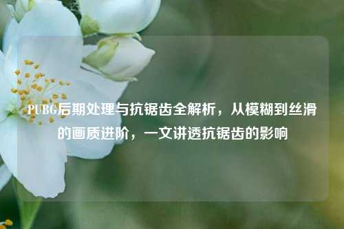 PUBG后期处理与抗锯齿全解析,从模糊到丝滑的画质进阶,一文讲透抗锯齿的影响
