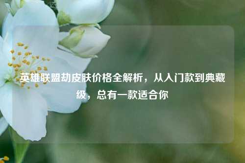 英雄联盟劫皮肤价格全解析,从入门款到典藏级,总有一款适合你