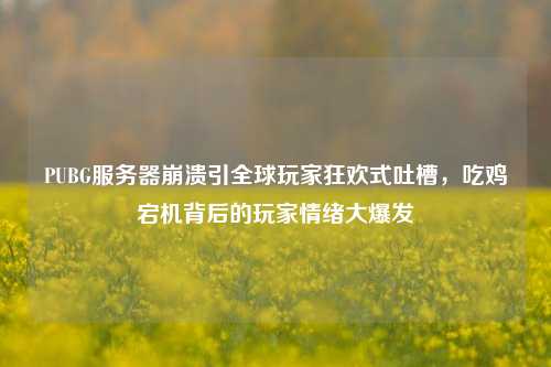 PUBG服务器崩溃引全球玩家狂欢式吐槽,吃鸡宕机背后的玩家情绪大爆发