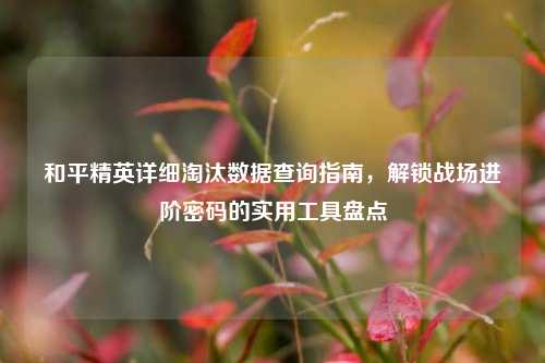 和平精英详细淘汰数据查询指南,解锁战场进阶密码的实用工具盘点