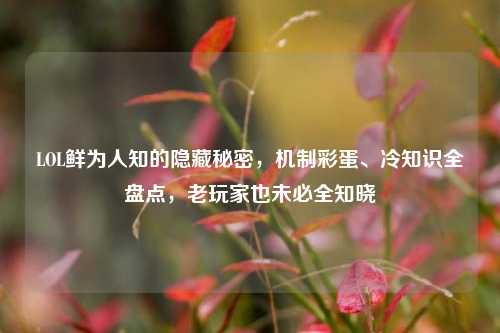 LOL鲜为人知的隐藏秘密,机制彩蛋、冷知识全盘点,老玩家也未必全知晓