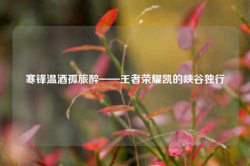寒锋温酒孤旅醉——王者荣耀凯的峡谷独行