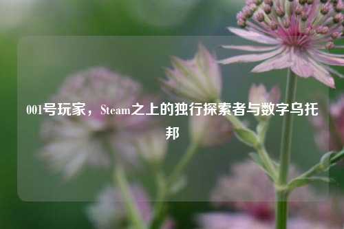 001号玩家,Steam之上的独行探索者与数字乌托邦