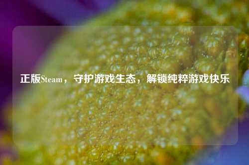 正版Steam,守护游戏生态,解锁纯粹游戏快乐