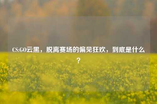 CS:GO云黑,脱离赛场的偏见狂欢,到底是什么?