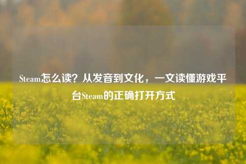 Steam怎么读?从发音到文化,一文读懂游戏平台Steam的正确打开方式